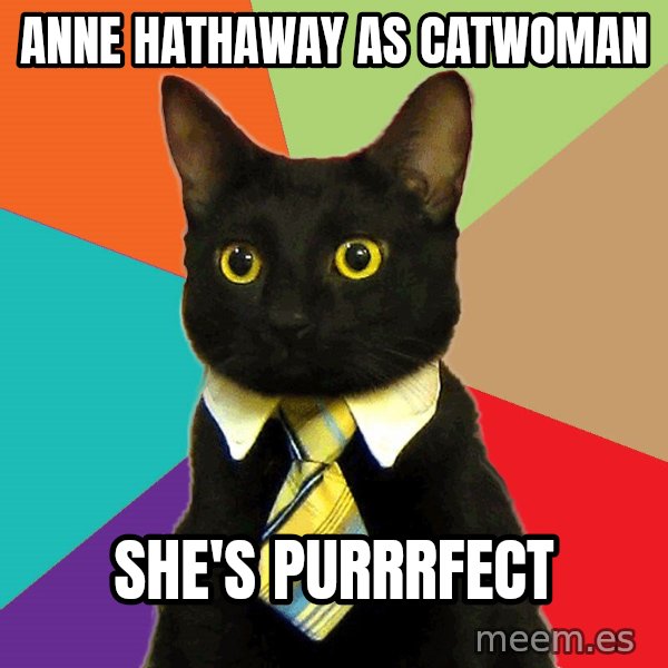 Business Cat meme: anne hathaway as catwoman / she's purrrfect
