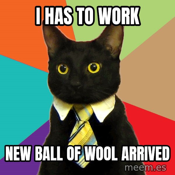 Business Cat meme: I HAS TO WORK / NEW BALL OF WOOL ARRIVED
