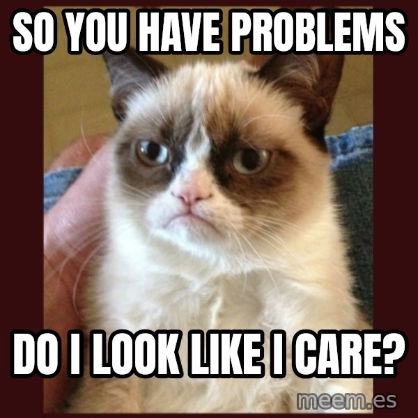 Grumpy Cat  meme: so you have problems / do i look like i care?