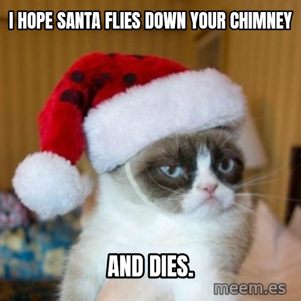 Grumpy Cat Santa Hat meme: i hope santa flies down your chimney / and dies.