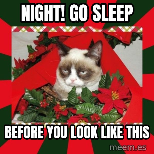 GRUMPY CAT ON CHRISTMAS meme: night! go sleep / before you look like this