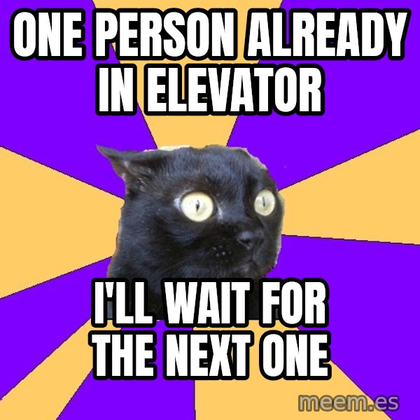 Anxiety Cat meme: One person already in elevator / I'll wait for the next one