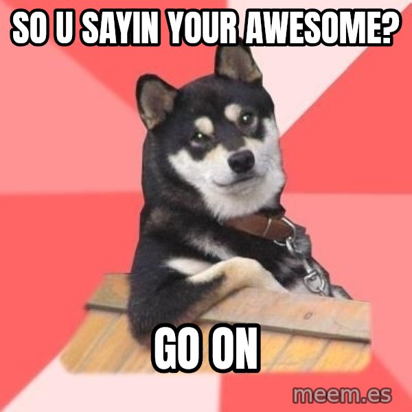 Cool Dog meme: so u sayin your awesome? / go on