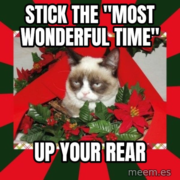 GRUMPY CAT ON CHRISTMAS meme: Stick the "most wonderful time" / up your rear