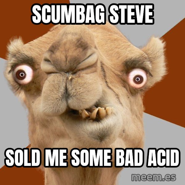 Crazy Camel lol meme: scumbag steve / sold me some bad acid