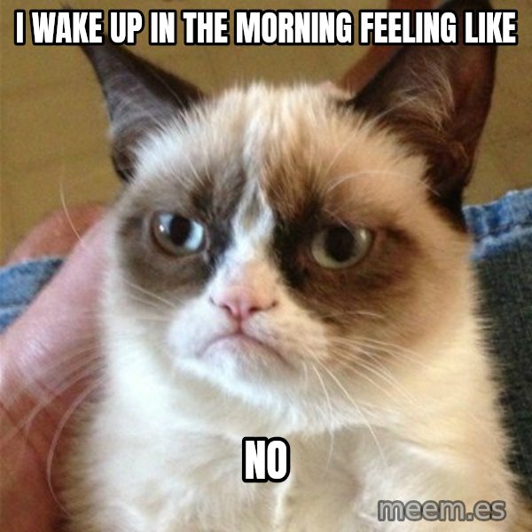 Grumpy Cat  meme: I wake up in the morning feeling like / no