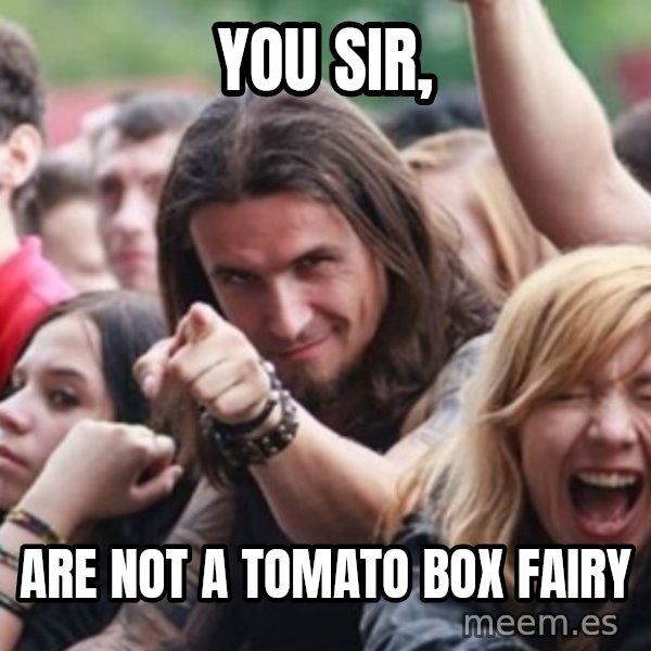 Ridiculously Photogenic Metalhead meme: YOU SIR, / ARE NOT A TOMATO BOX FAIRY