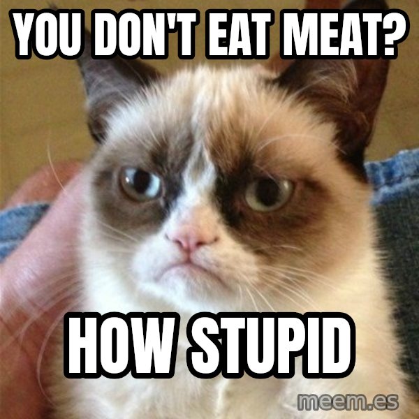 Grumpy Cat  meme: You don't eat meat? / How Stupid