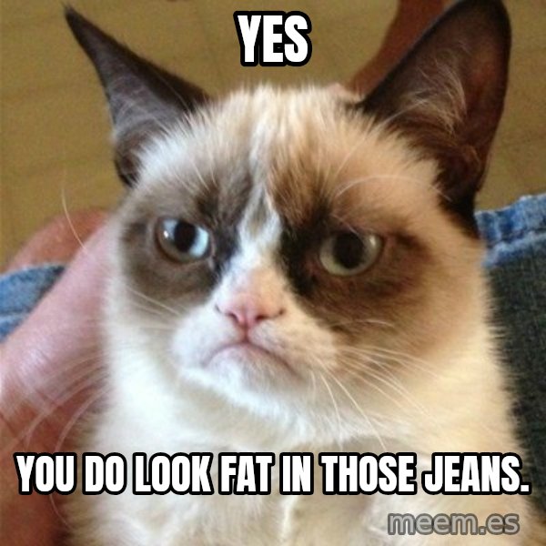 Grumpy Cat  meme: Yes / you do look fat in those jeans.