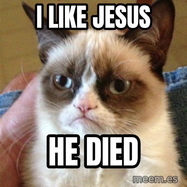 Grumpy Cat  meme: i like jesus / he died