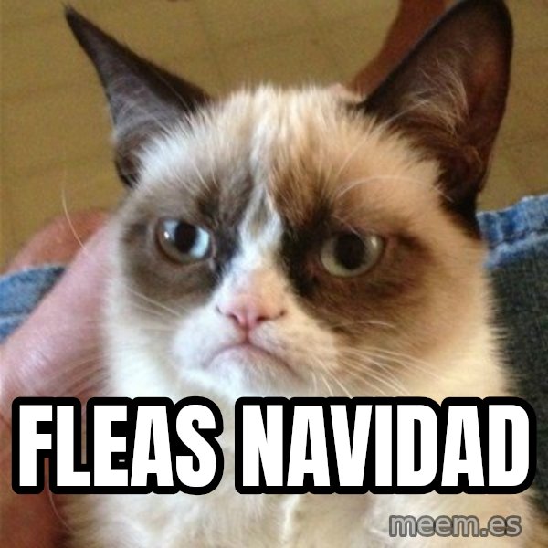 Grumpy Cat  meme: fleas navidad