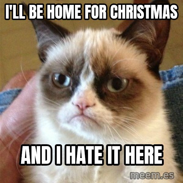 Grumpy Cat  meme: i'll be home for christmas / and i hate it here