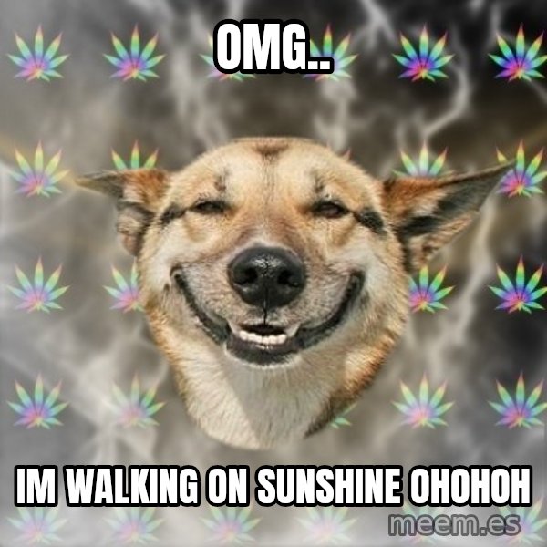 Stoner Dog meme: OMG.. / iM WALKING ON SUNSHINE OHOHOH