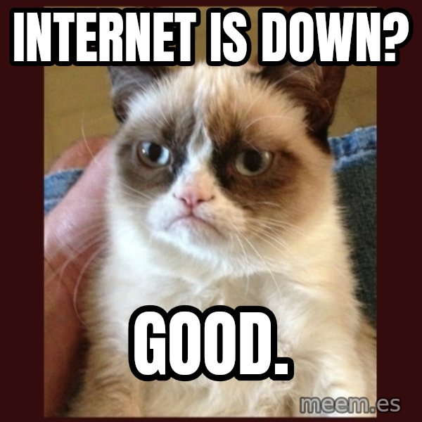 Grumpy Cat  meme: Internet is down? / Good.