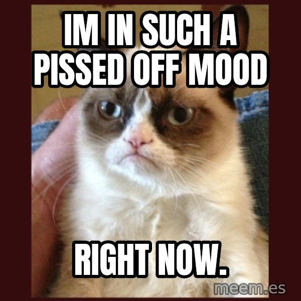 Grumpy Cat  meme: IM IN SUCH A PISSED OFF MOOD / right now.