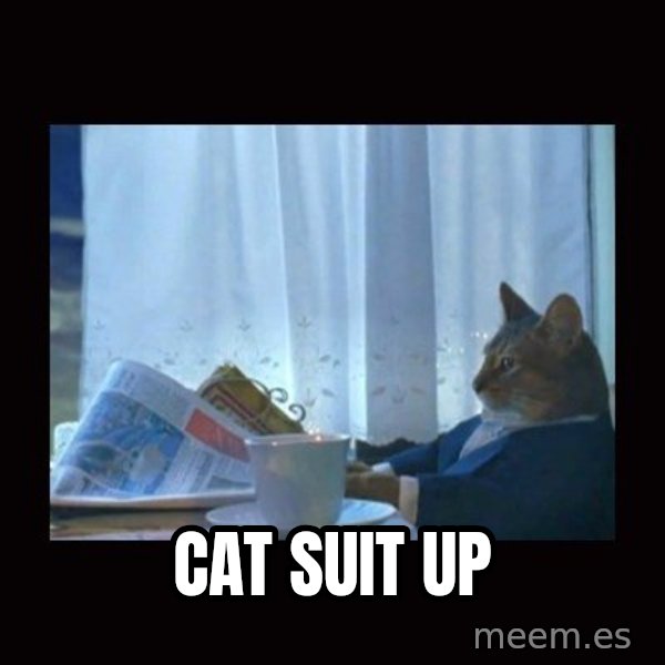 i should buy a boat cat meme: Cat Suit Up