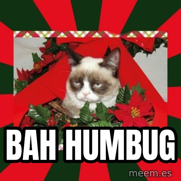 GRUMPY CAT ON CHRISTMAS meme: Bah Humbug