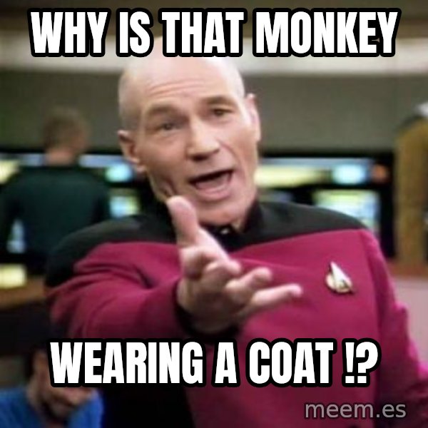 Picard Wtf meme: WHY IS THAT MONKEY / WEARING A COAT !?