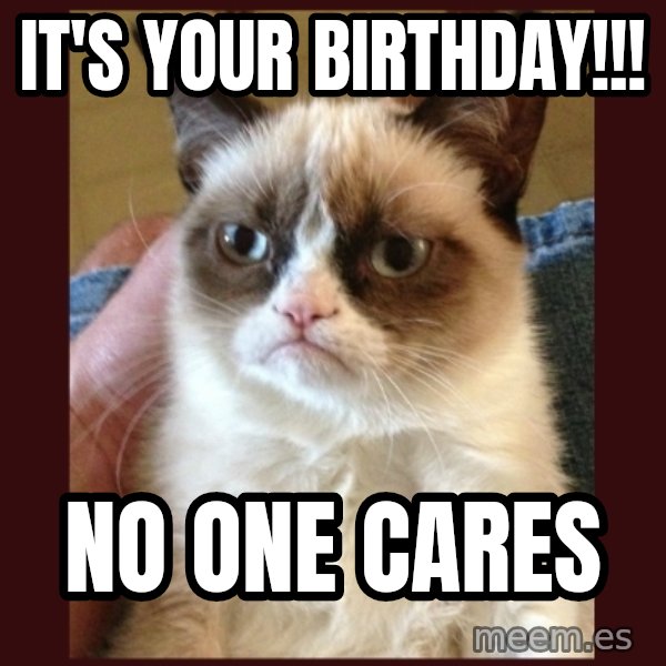 Grumpy Cat  meme: It's your birthday!!! / No one cares