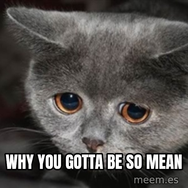 Sadcat meme: Why you gotta be so mean