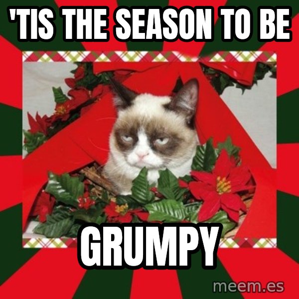GRUMPY CAT ON CHRISTMAS meme: 'tis the season to be / grumpy