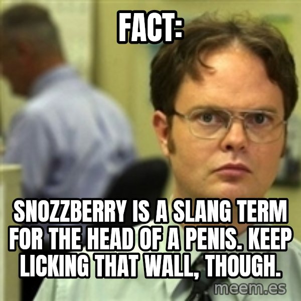 Dwight Schrute meme: fACT: / Snozzberry is a slang term for the head of a penis. keep licking that wall, though.