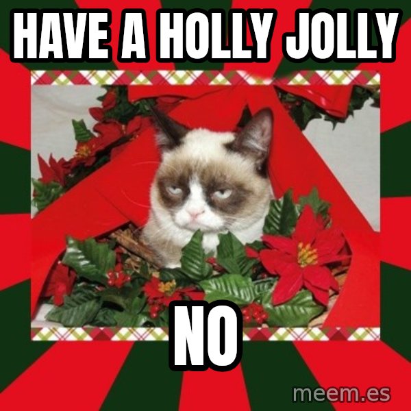 GRUMPY CAT ON CHRISTMAS meme: Have a holly jolly / no
