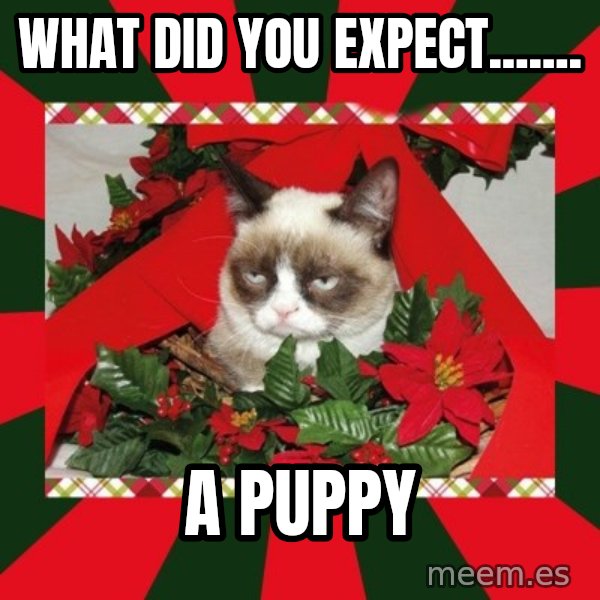 GRUMPY CAT ON CHRISTMAS meme: WHAT DID YOU EXPECT....... / A PUPPY