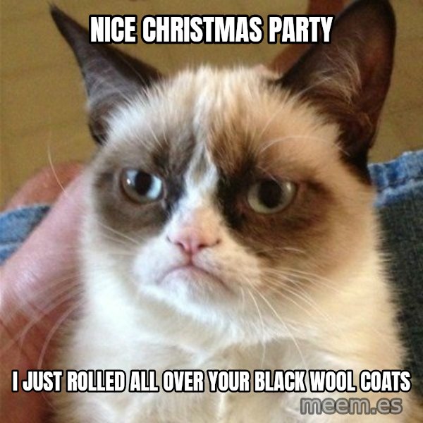 Grumpy Cat  meme: nice christmas party / i just rolled all over your black wool coats