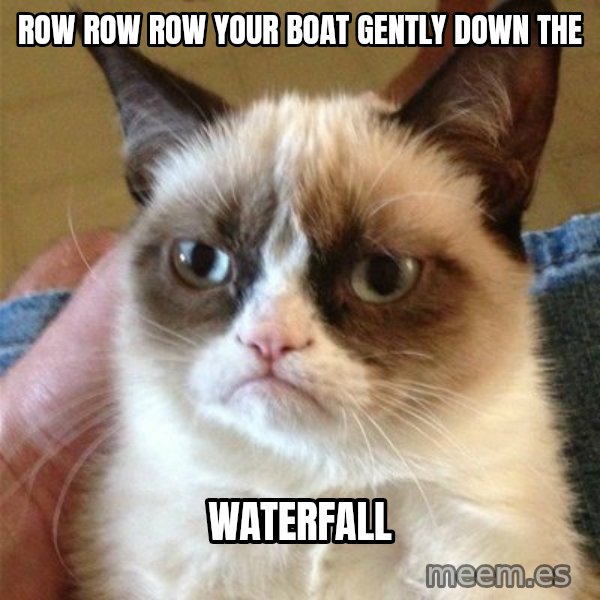 Grumpy Cat  meme: row row row your boat gently down the / waterfall