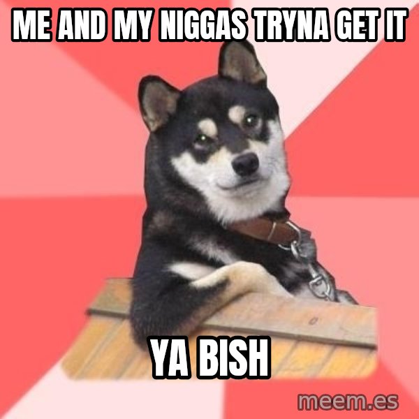 Cool Dog meme: Me and my niggas tryna get it / ya bish