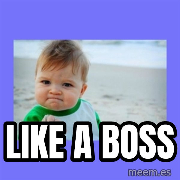 Success Kid meme: Like a boss