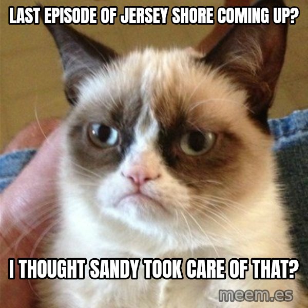Grumpy Cat  meme: last episode of jersey shore coming up? / I thought sandy took care of that?