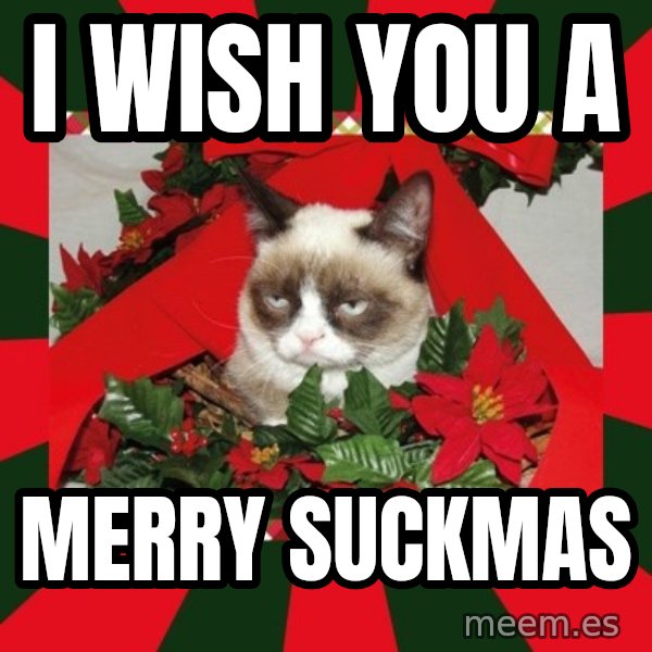 GRUMPY CAT ON CHRISTMAS meme: I wish you a / merry suckmas