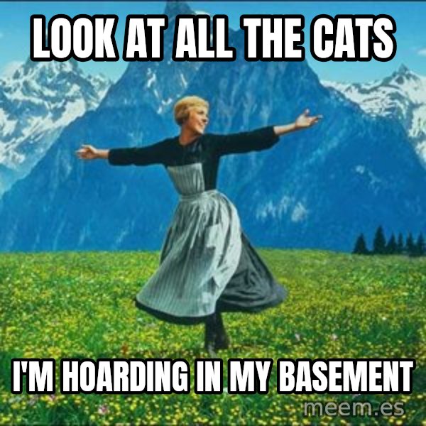 Look at all the things meme: LOOK AT ALL THE CATS / I'M HOARDING IN MY BASEMENT