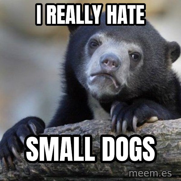 Confession Bear meme: I really hate / small dogs