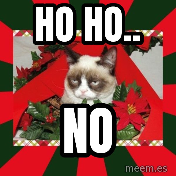 GRUMPY CAT ON CHRISTMAS meme: ho  ho.. / no