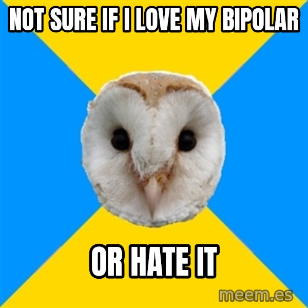 Bipolar Owl meme: not sure if i love my   bipolar / or hate it