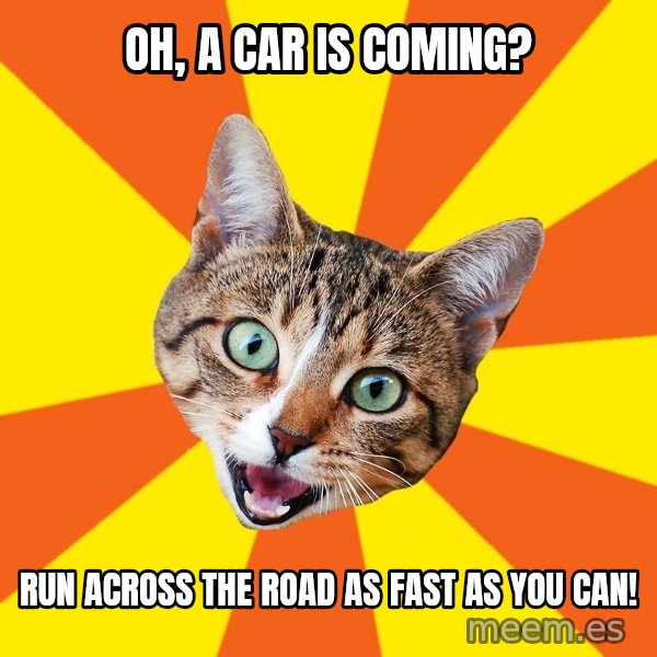 Bad Advice Cat meme: Oh, a car is coming? / RUN ACRoss the road as fast as you can!