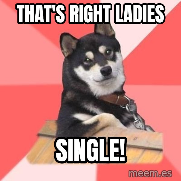 Cool Dog meme: THat's right ladies / single!