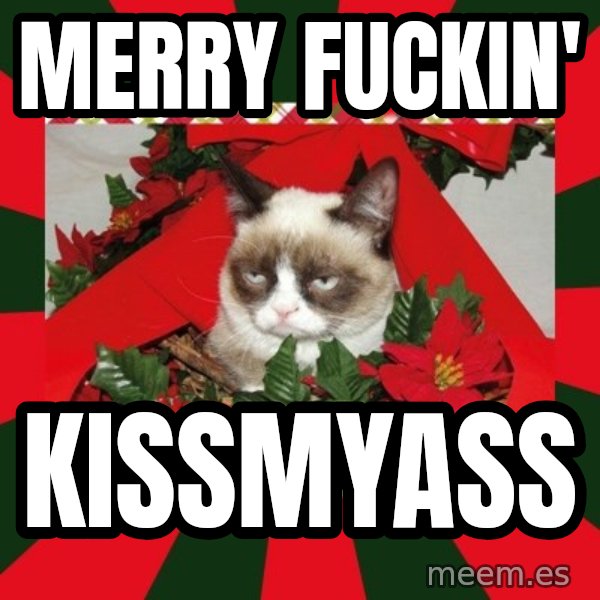 GRUMPY CAT ON CHRISTMAS meme: Merry fuckin' / Kissmyass
