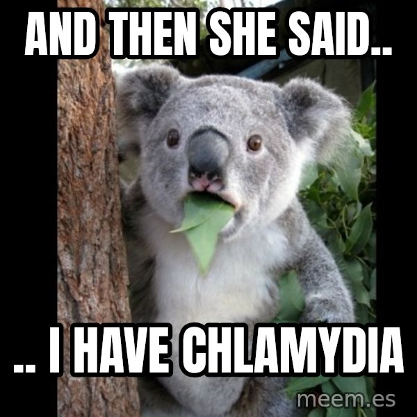 Koala can't believe it meme: and then she said.. / .. I have Chlamydia