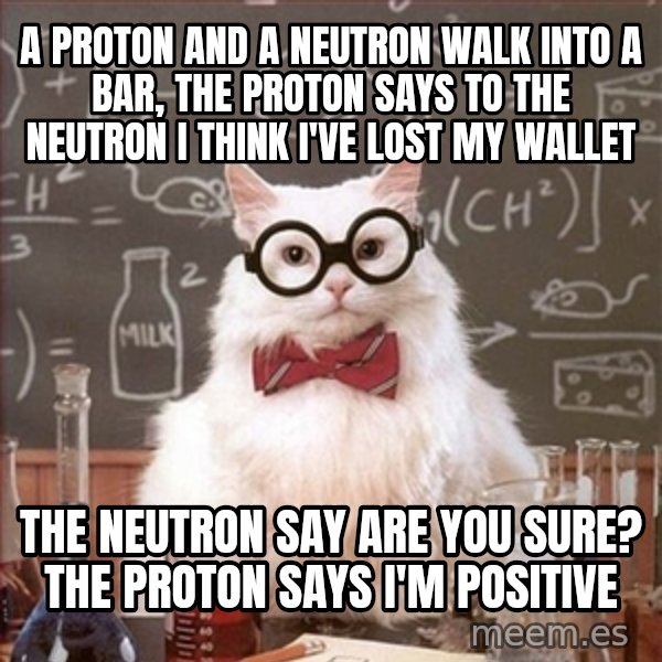 Science Cat meme: A proton and a neutron walk into a bar, the proton says to the neutron i think i've lost my wallet / The neutron say are you sure? The proton says i'm positive