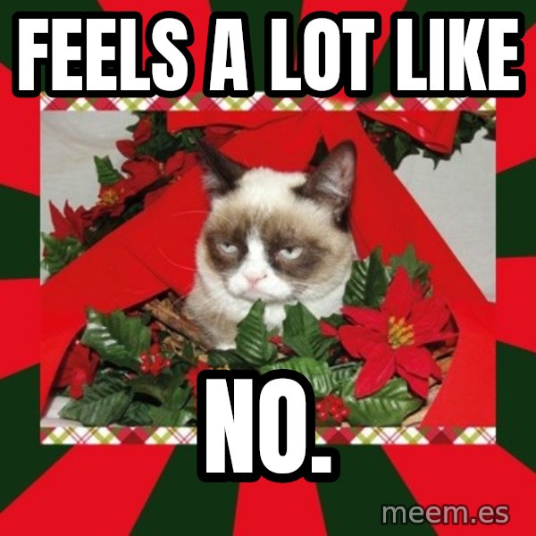 GRUMPY CAT ON CHRISTMAS meme: Feels a lot like / no.