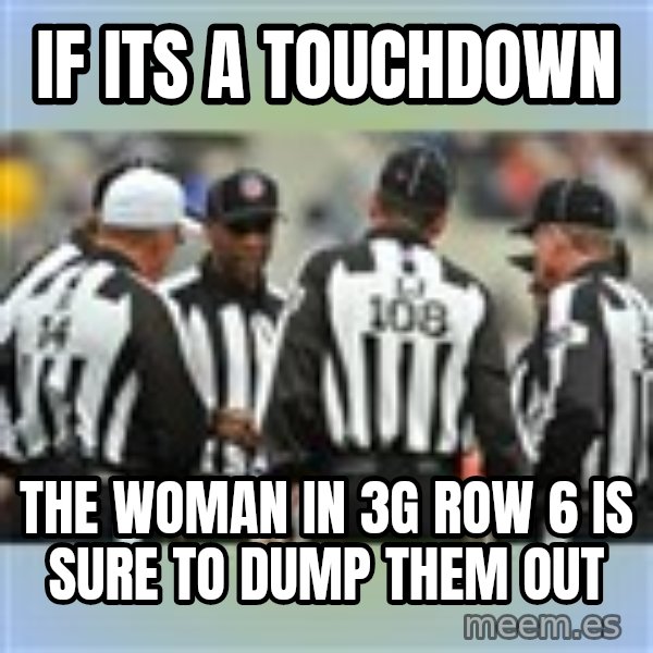 NFL Ref Meeting meme: if its a touchdown / the woman in 3g row 6 is sure to dump them out