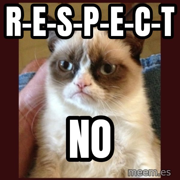 Grumpy Cat  meme: r-e-s-p-e-c-t / no