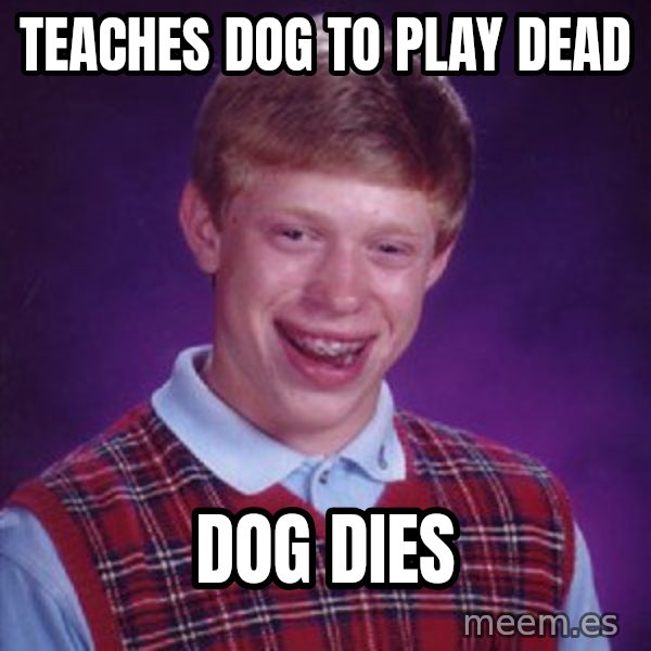 Bad Luck Brian meme: Teaches dog to play dead / dog dies