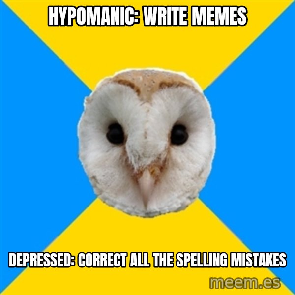 Bipolar Owl meme: hypomanic: write memes / depressed: correct all the spelling mistakes