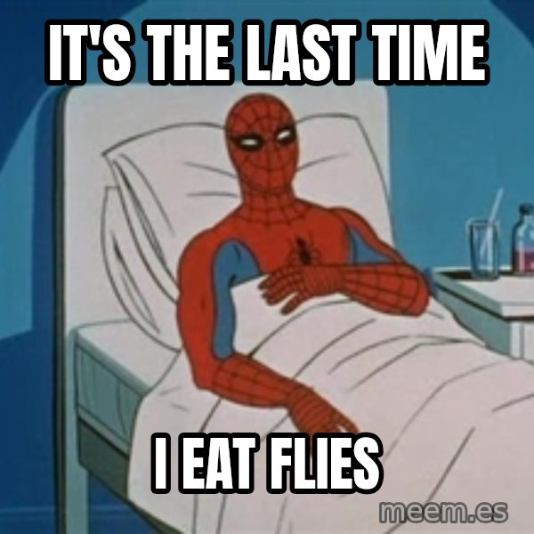spiderman hospital meme: IT'S THE LAST TIME / I EAT FLIES