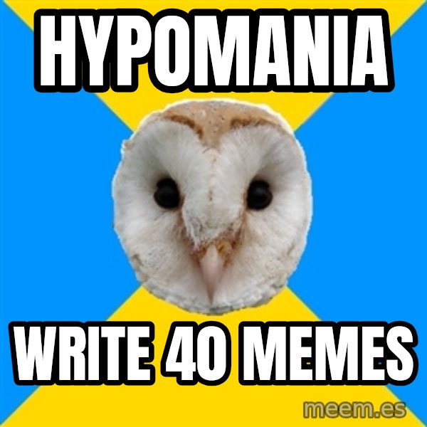 Bipolar Owl meme: hypomania / write 40 memes
